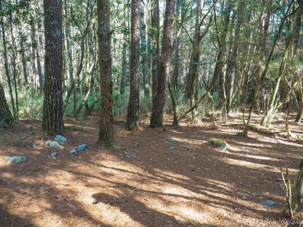 [百岳]屏風山野營歲月853213
