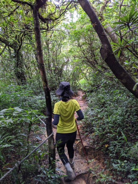 【屏東-小百岳】三大郊山 里龍山O走1025778