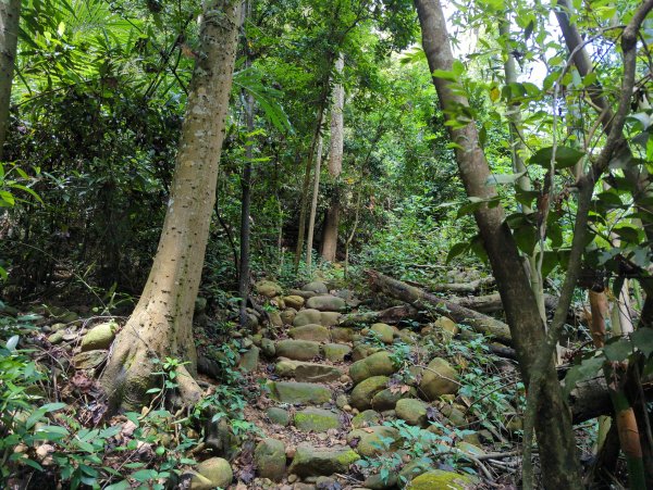 2022.08.20－火炎山北鞍古道路線O行縱走1813739