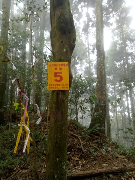 三角湖山向天湖山光天高山O形1911612