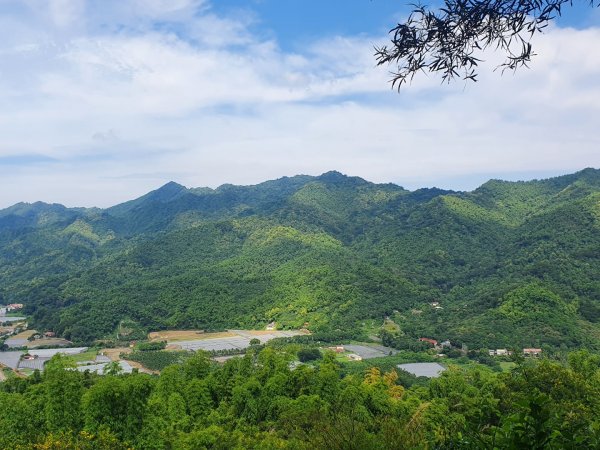 美濃雙溪樹木園1097948