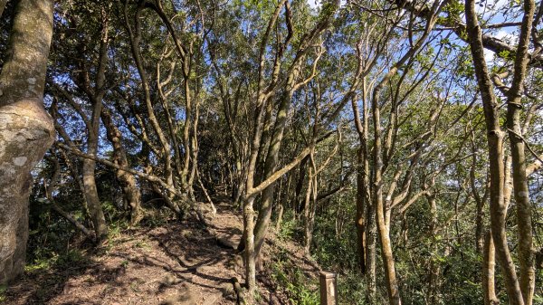 114.12.07筆架連峰之旅2957050