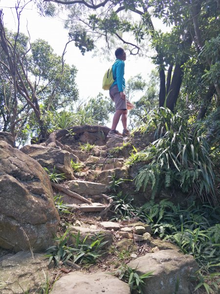 20190828金面山&大崙頭尾山親山步661826