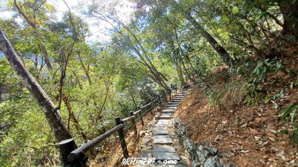 【台中和平】捎來步道x2025山谷燈光節2957990