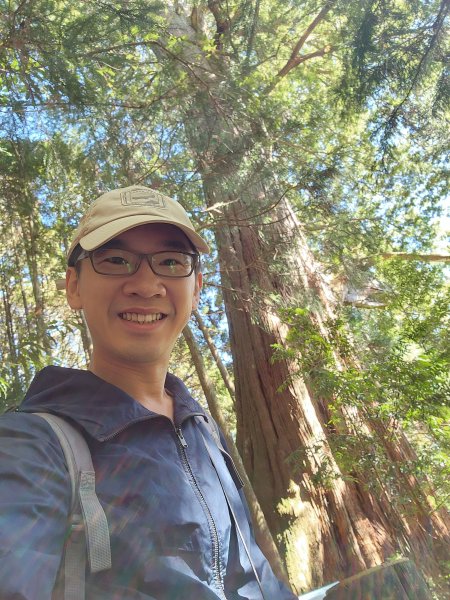 檜山巨木森林步道2395002