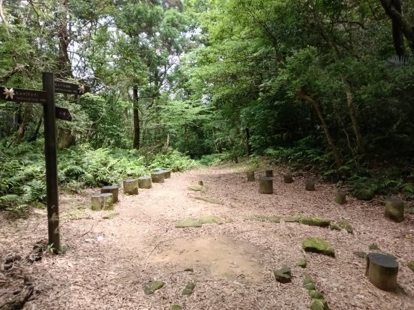 雙溪區大埤遺址東林寺+大埤古道+572峰去回2784179