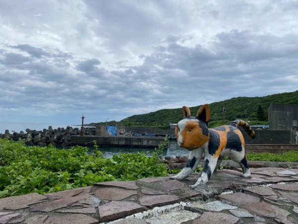 🌈8/3（日）福隆~舊草嶺自行車環狀20公里✨FB：熊熊趴爬走🌈2852308