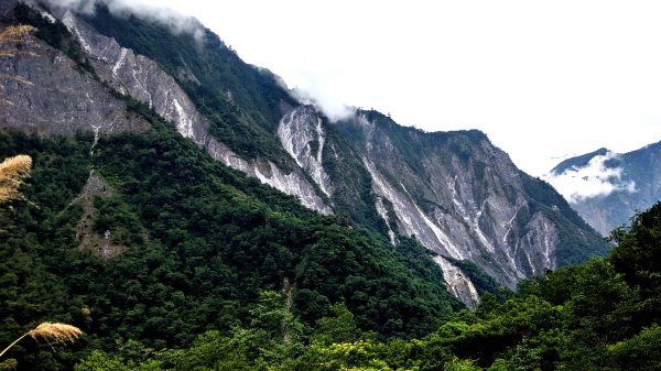 能高越之東，D3：檜林～奇萊山莊1044257