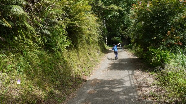 鵝公髻山登山健行趣(小百岳31號)1524799