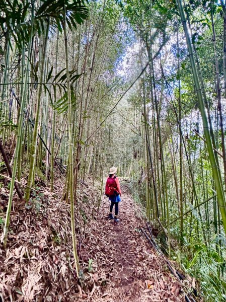 瞭望台-瓊山-望美山-獵人古道2886884