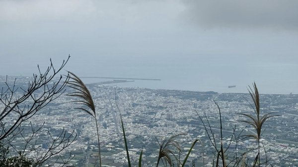 20260204小百岳初音山2994914