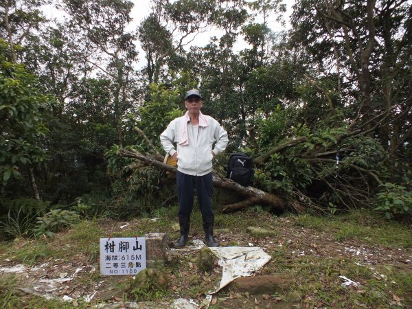 淡蘭中路崩山坑古道柑腳段-柑腳山