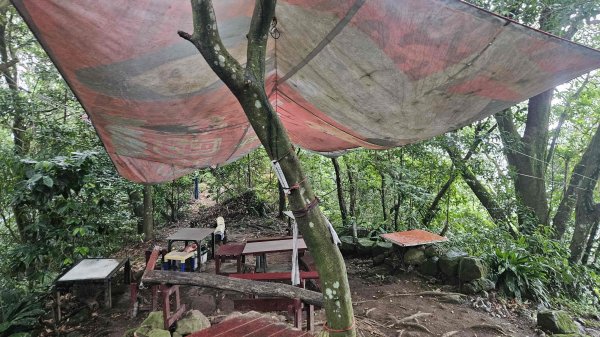 20250612溪南尖-主公山2810063