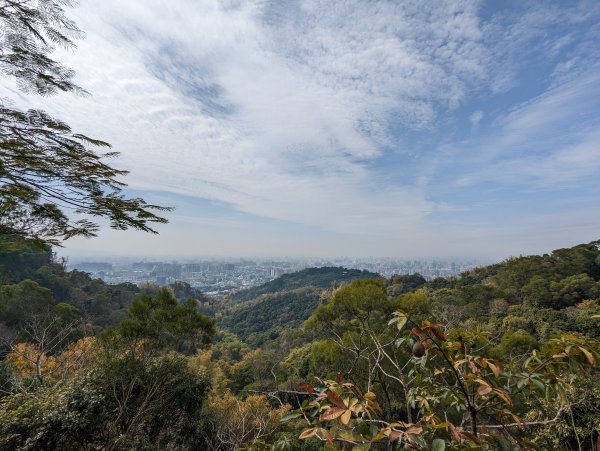 2023-02-04 大坑9、10號步道2792387