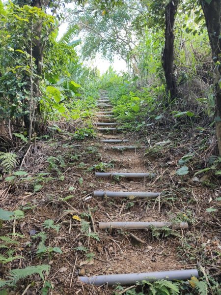 微笑山線：【天上山系】烘爐地土地公段：南勢角山2959351