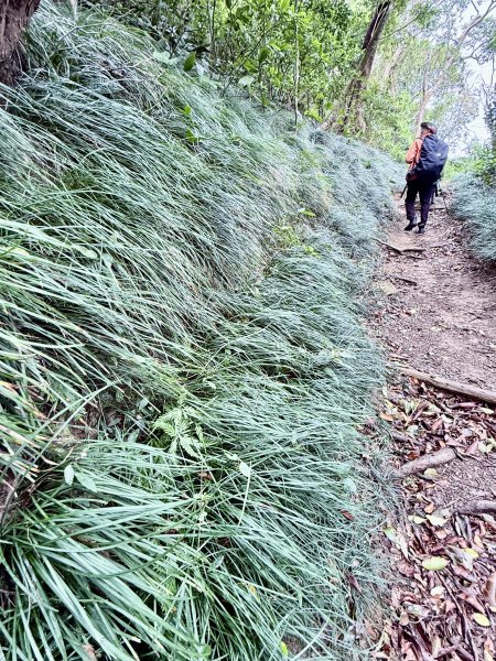 雙流帽子山悠遊  2025.01.032688546