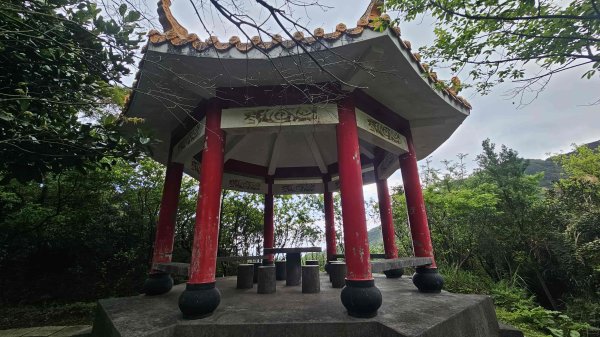 20260312瑞芳砲台山-水圳路3015916