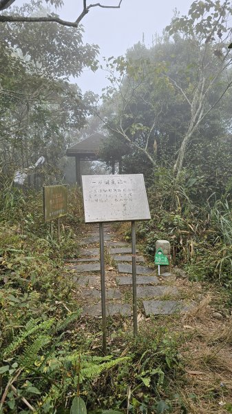 【登頂小百岳；見證九二一】解鎖第57座小百岳，編號047九份二山 🏔️2952085