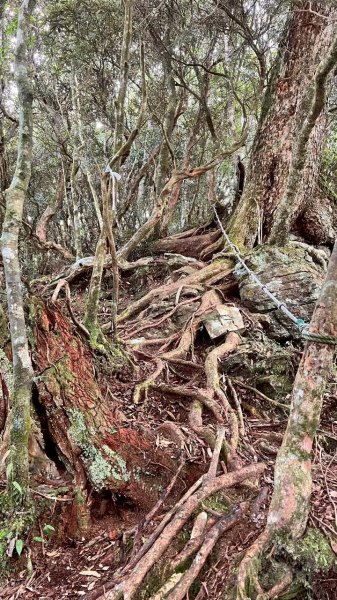 🌈9/7（日）夫拉縱走（夫婦山縱走拉拉山）✨FB：熊熊趴爬走🌈2880896