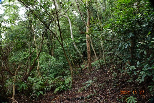 苗栗 三義 拐子湖山1528245