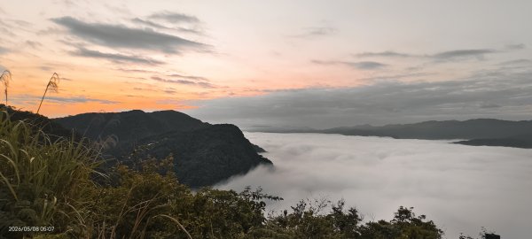 #翡翠水庫壩頂 #月亮 #日出 #雲海 #藍腹鷴母鳥 5/8&133050270