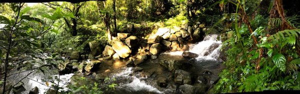 拉卡山前鋒_拉卡山_東滿步道滿月圓小O型201907271964400