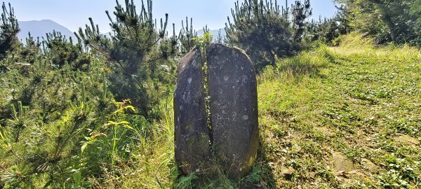 2025/05/17-凌空廊道至比麟山來回2790067