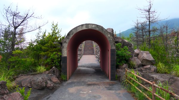 南九州－櫻島有村溶岩,桷志田,高千穗牧場,霧島神宮3063834