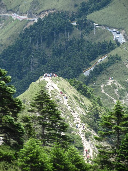 《南投》愛上山｜合歡山東峰2016061412169