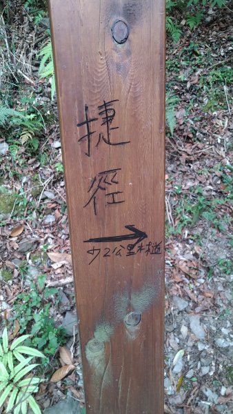 2021.4.9-10大霸群峰之大霸尖山1349339