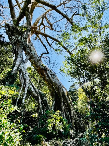 1150123里龍山2986681