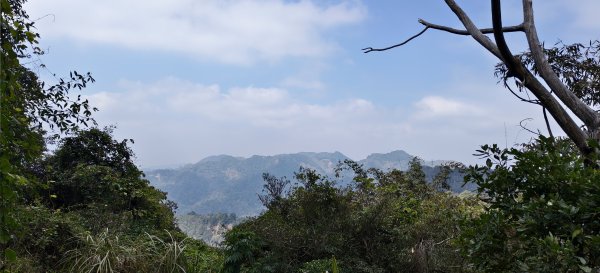 2026/03/15 白冷山步道3016798