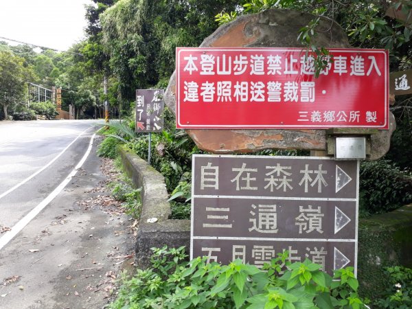 苗栗三義挑炭古道三通嶺O型190818654439