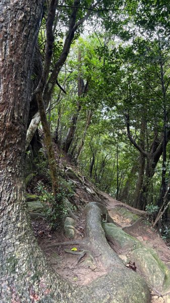 大雨後🙄2845402