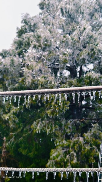 #太平山 #望洋山 #霧淞 1/222986052