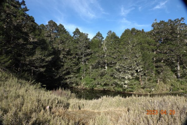 南投 仁愛 武法奈尾山2133759