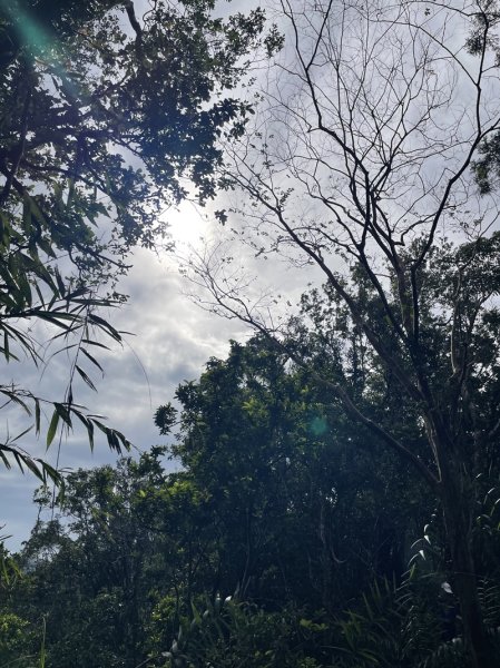 九芎根山-仁里板山2968831