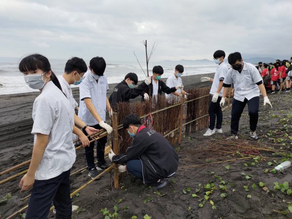 【環境】宜蘭縣國高中生合力搭建海岸堆砂籬守護保安林