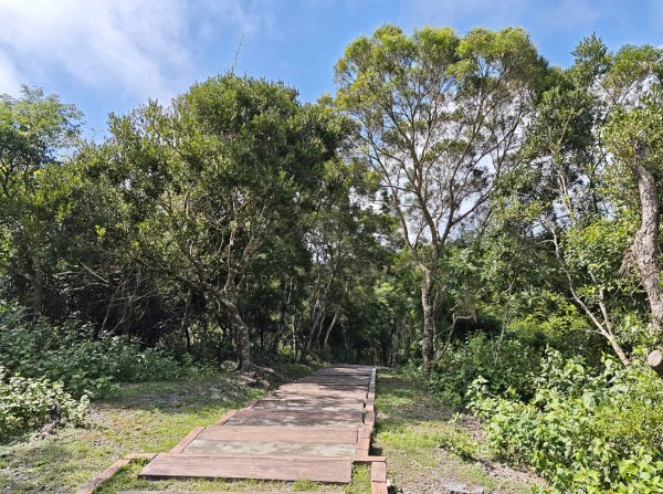 [百山百鳥尋旅-02/15] 2025_0809 社頂自然公園步道2857095