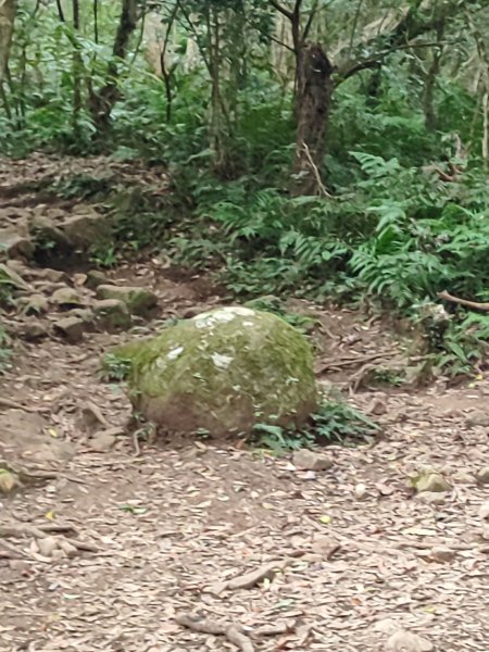 臺北大縱走第二段：二子坪至小油坑2827687