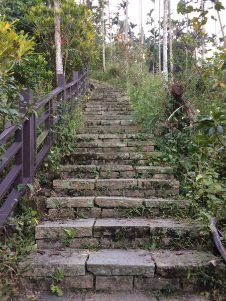 20171231-梅峰古道&伍龍步道302143