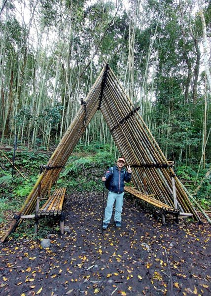 熱血一日霞喀羅賞楓之旅2784991
