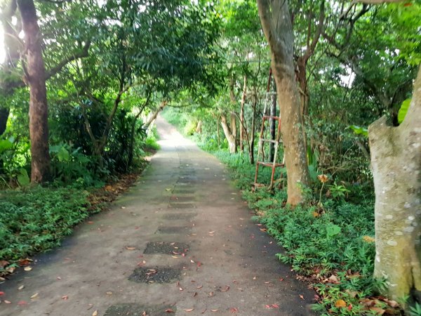 劍潭山親山步道。看夕陽1098623