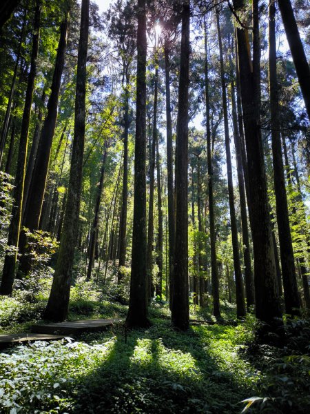 2025-09-14 奮起湖2887394