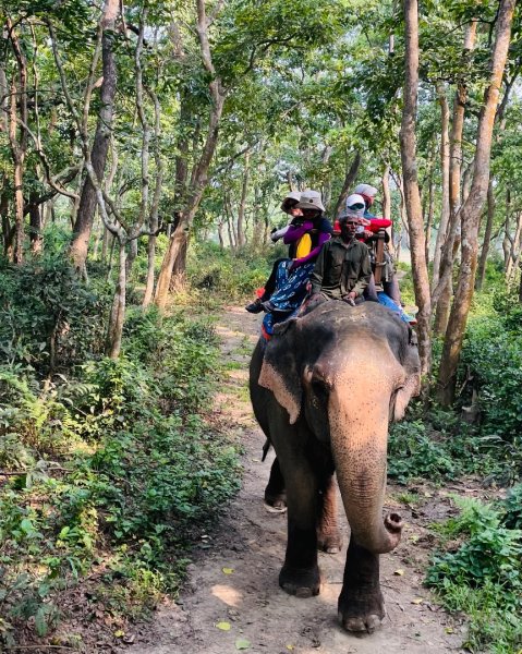 尼泊爾奇旺國家公園4天三夜2788890