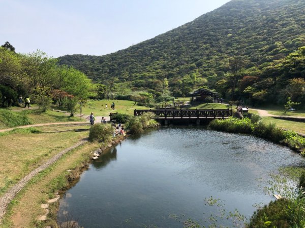 面天山-向天山885649