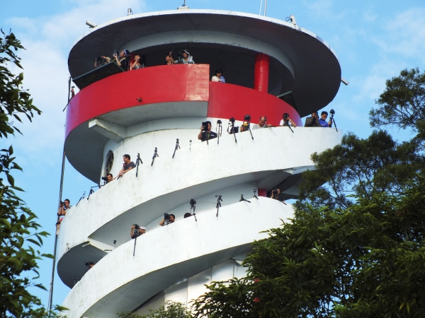 苗栗--薑麻園步道7488