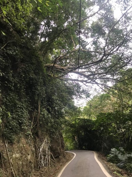 獅頭山、猿山、獅尾山三連走525978