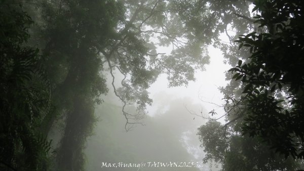 《雲林》望好望角｜石壁山嘉南雲峰步道(中側登山口）202506072805479