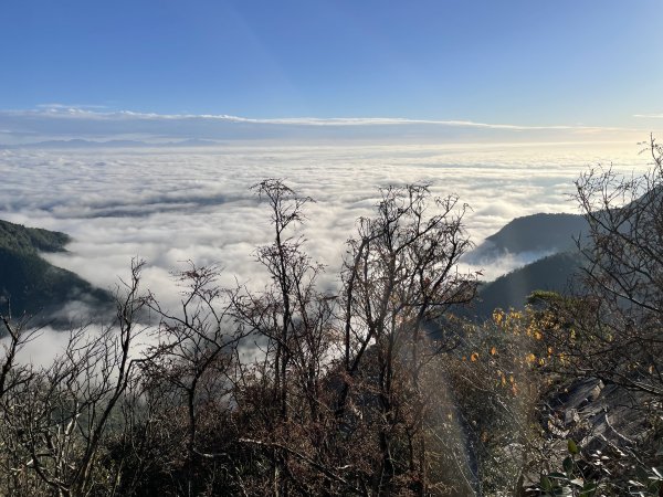 秋天的饗宴～鳶嘴山雲海＋稍來山楓葉1965664